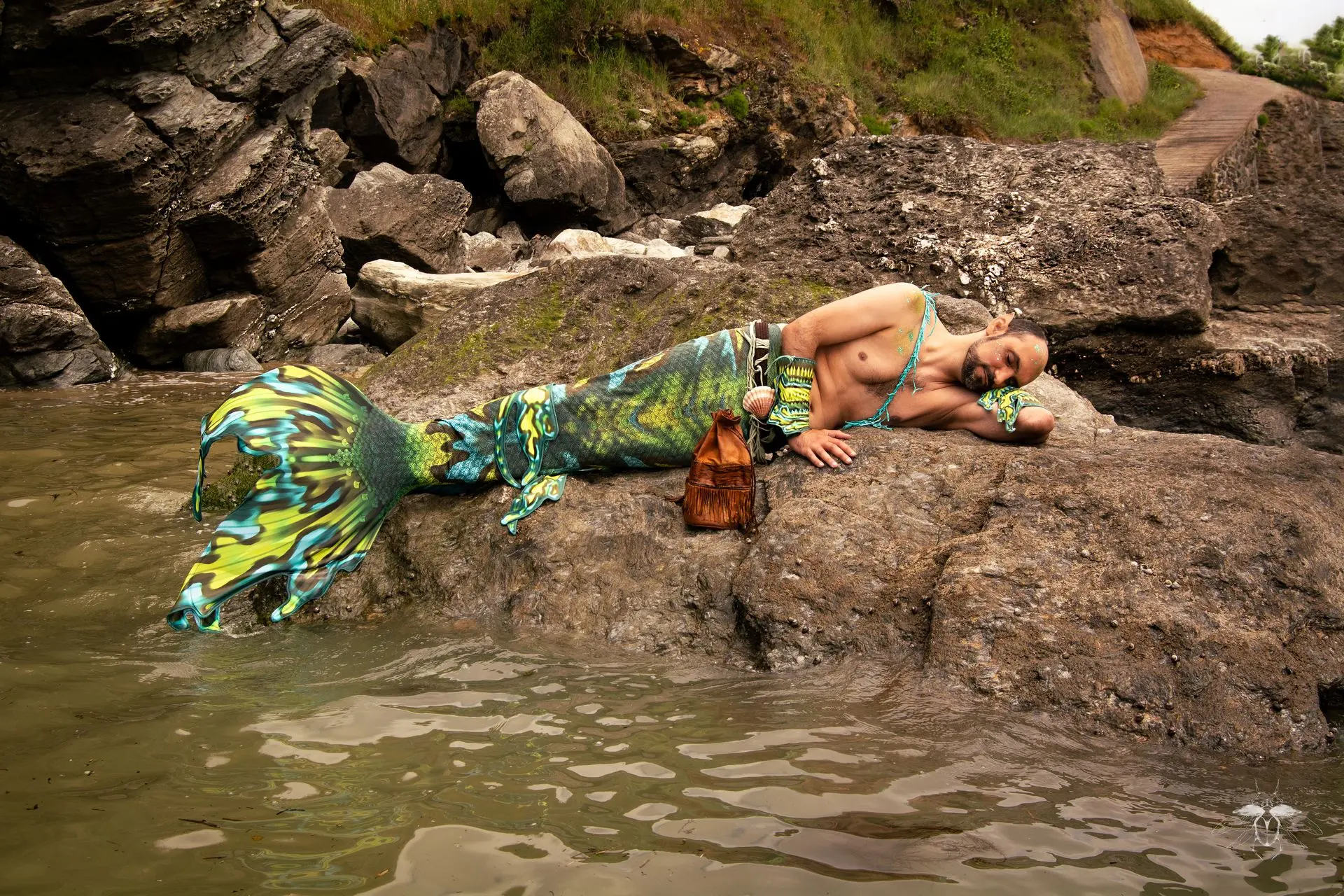 Le triton Toxifolia sommeille allongé sur des rochers, camouflé par ses nageoires en forme d'algue vertes, bleues, jaunes et brunes.
